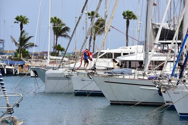 Reportaje al Sete CatLeya, una de las primeras ...