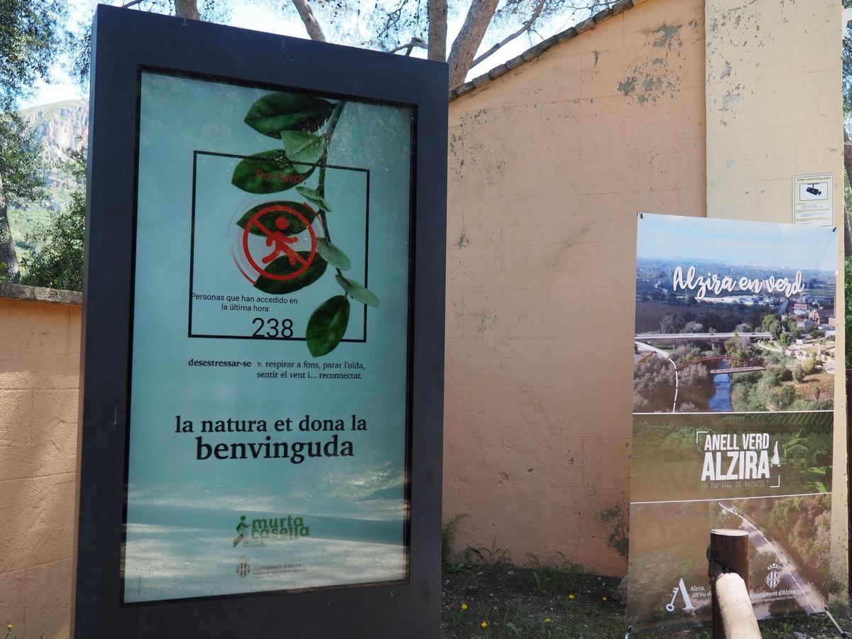 Hasta 238 personas acceden a la Murta de Alzira en una hora este Lunes de Pascua.