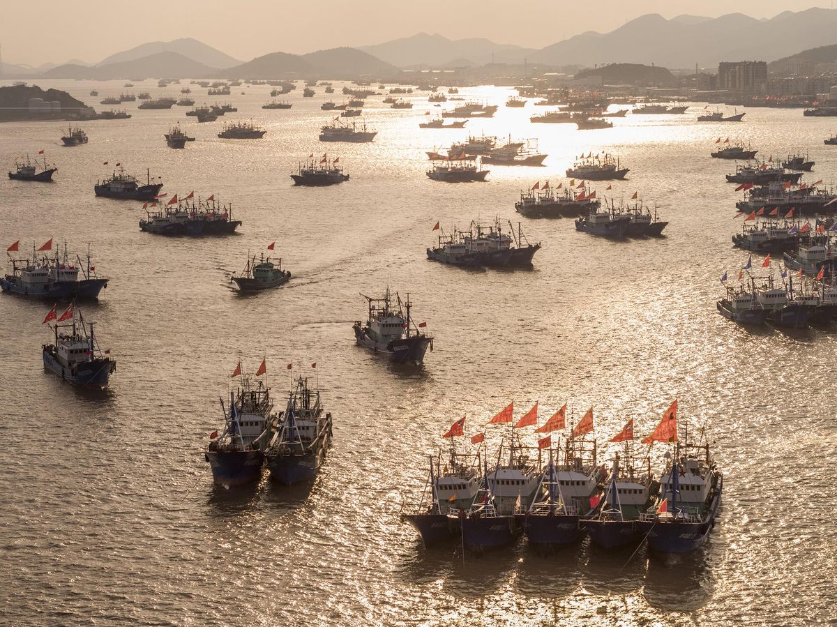 Nombrosos vaixells pescant a Zhejiang, a la Xina; la imatge forma part de la mostra sobre els impactes de la pesca industrial al món