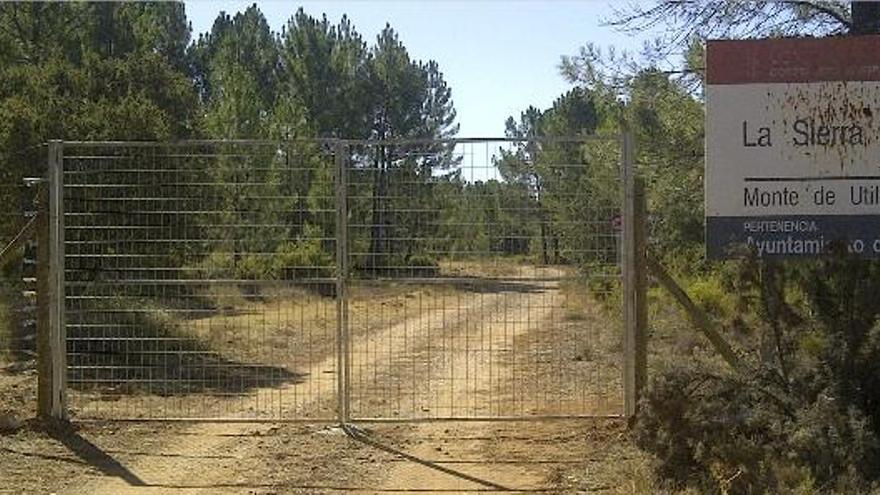 Loriguilla cierra caminos públicos de Chera al vallar un coto de caza