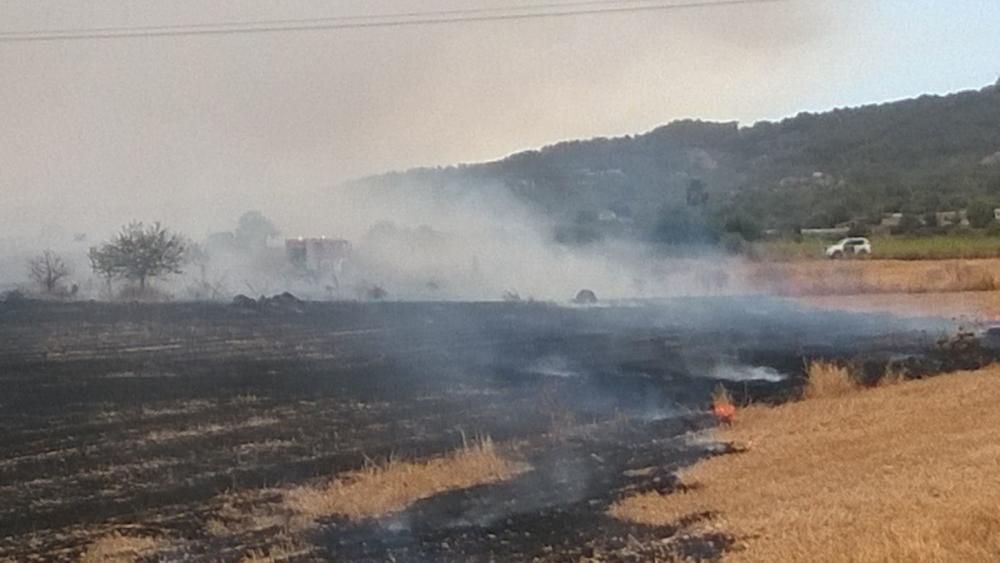 Incendio en Petra