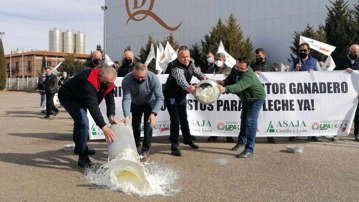 Responsables de las organizaciones agrarias vierten leche en la movilización celebrada a las puertas de la fábrica de García Baquero en Toro. | M. J. C.