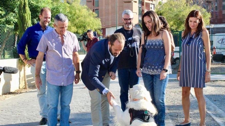 &quot;Vamos a llevar ahora al pleno una propuesta para crear una oficina de adopciones internacionales con garantías, ventana de oportunidad para nuestras mascotas&quot;, aseguró Juan Cassá en su cuenta de Twitter (@Juancassa)