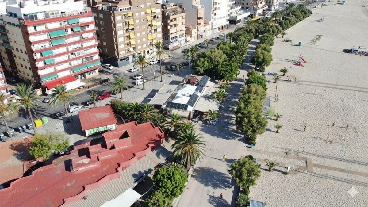 Propuesta para llenar Sagunt de árboles frondosos.