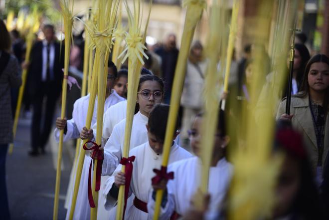GALERIA | Procesión de Jesús en la Borriquilla en Benavente