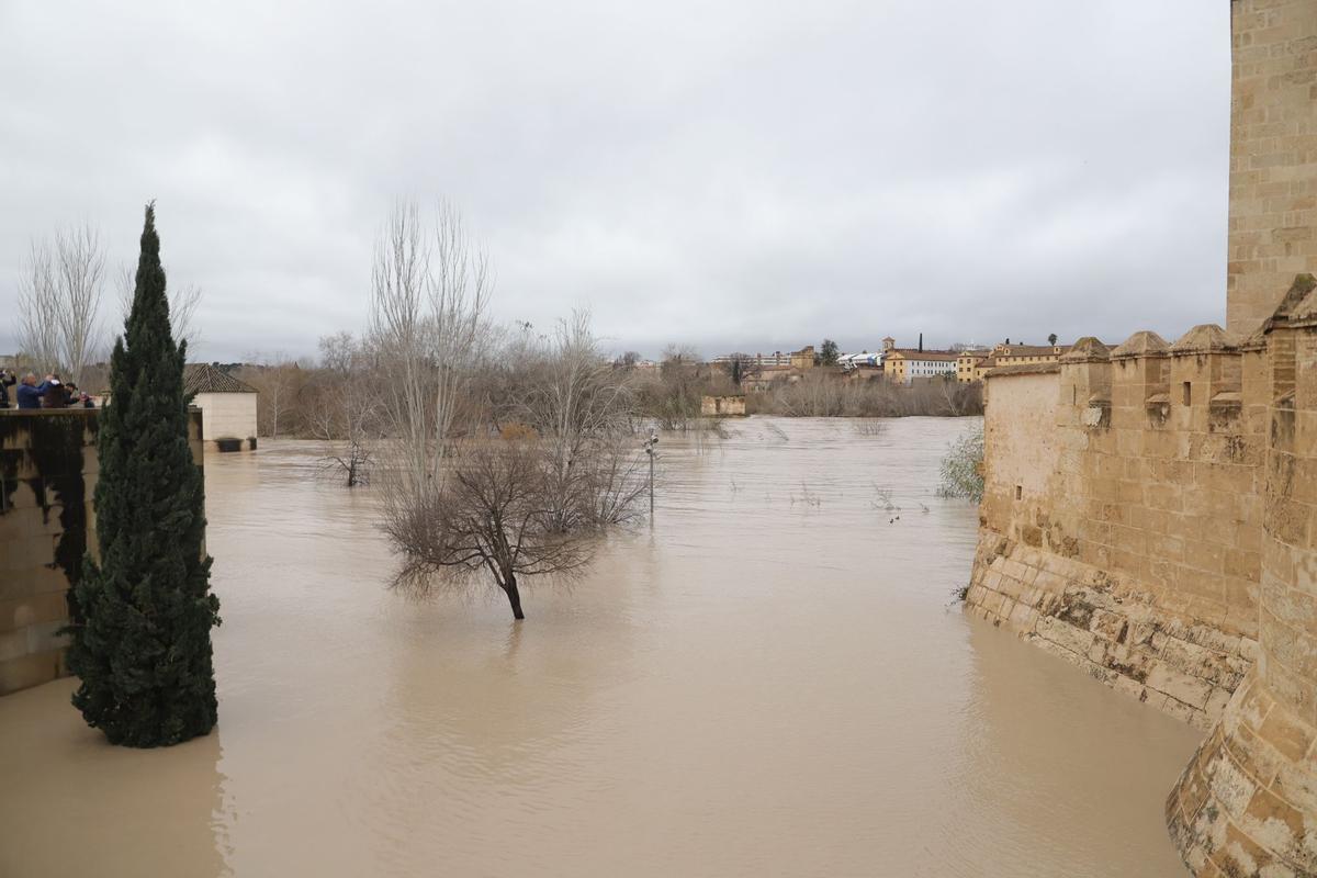 El río Guadalquivir supera los 5,5 metros a su paso por Córdoba