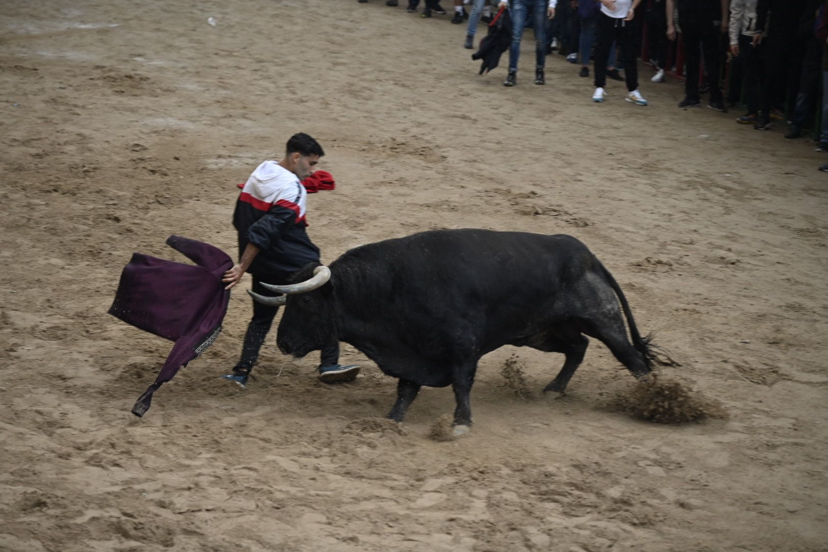 Las mejores imágenes de la jornada festiva en Vila-real