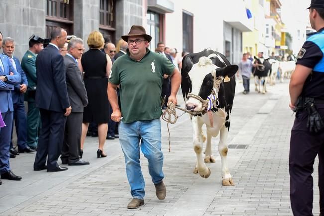 Fiestas de San ROQUE en Firgas