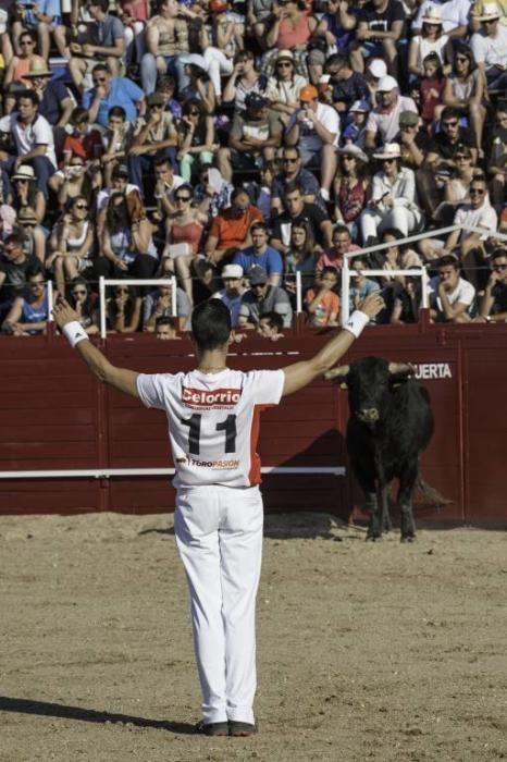 Concurso de cortes en la Plaza de Toros de Benaven