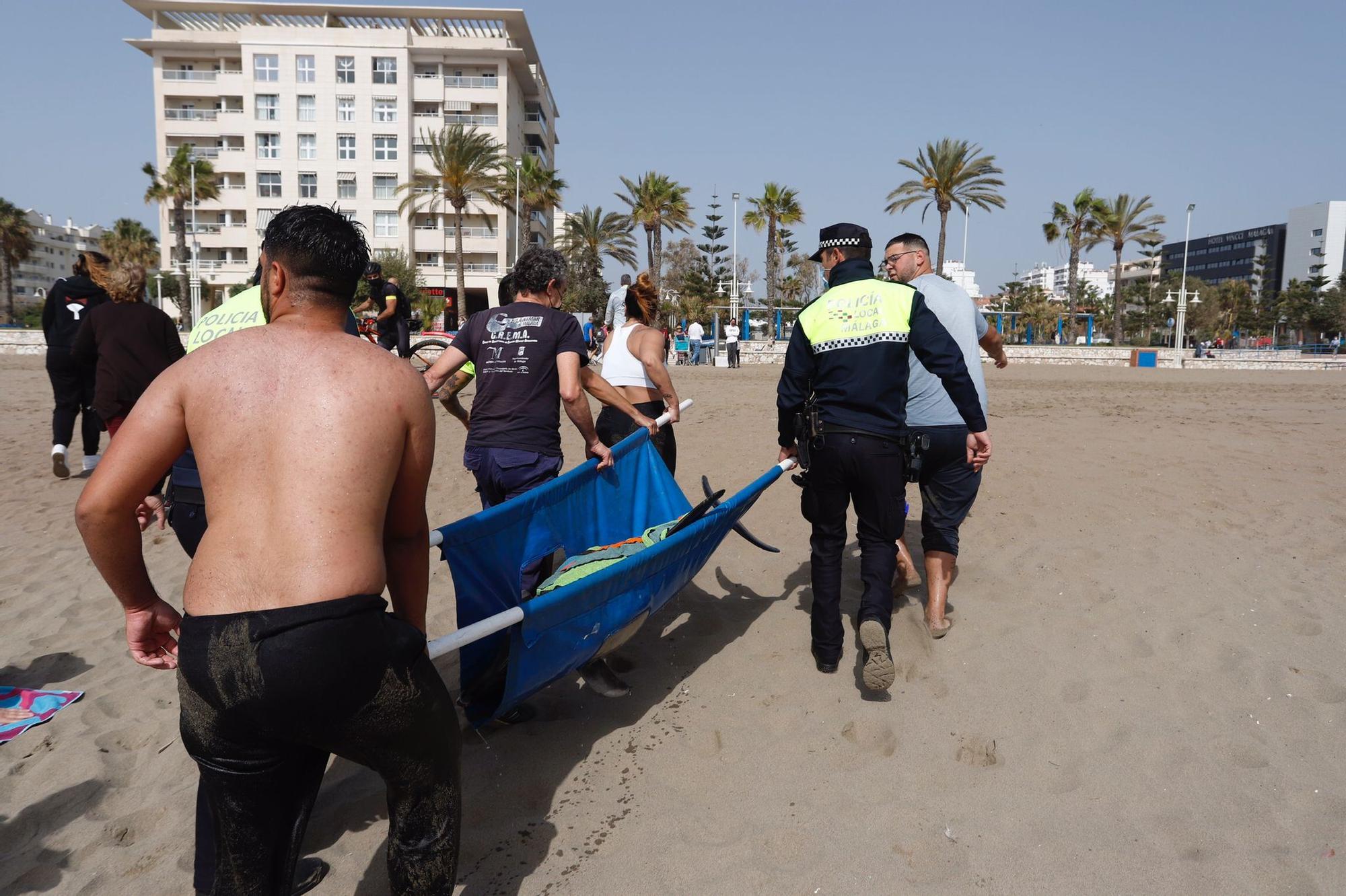 Rescatan a un delfín varado en la Misecordia