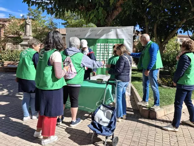 GALERÍA | La AECC de Toro conmemora en la calle el Día de la Investigación en Ciencia
