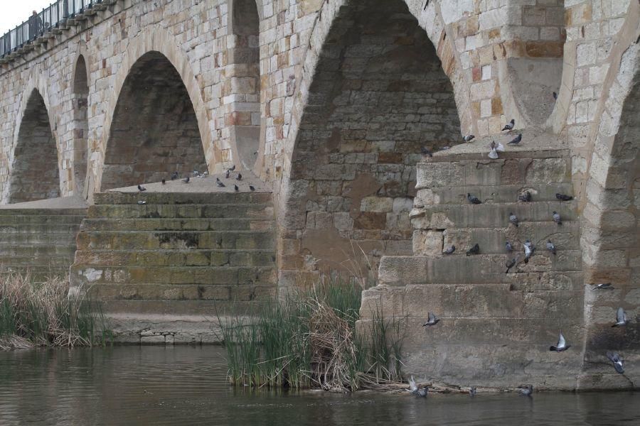 La sequía afecta al Duero