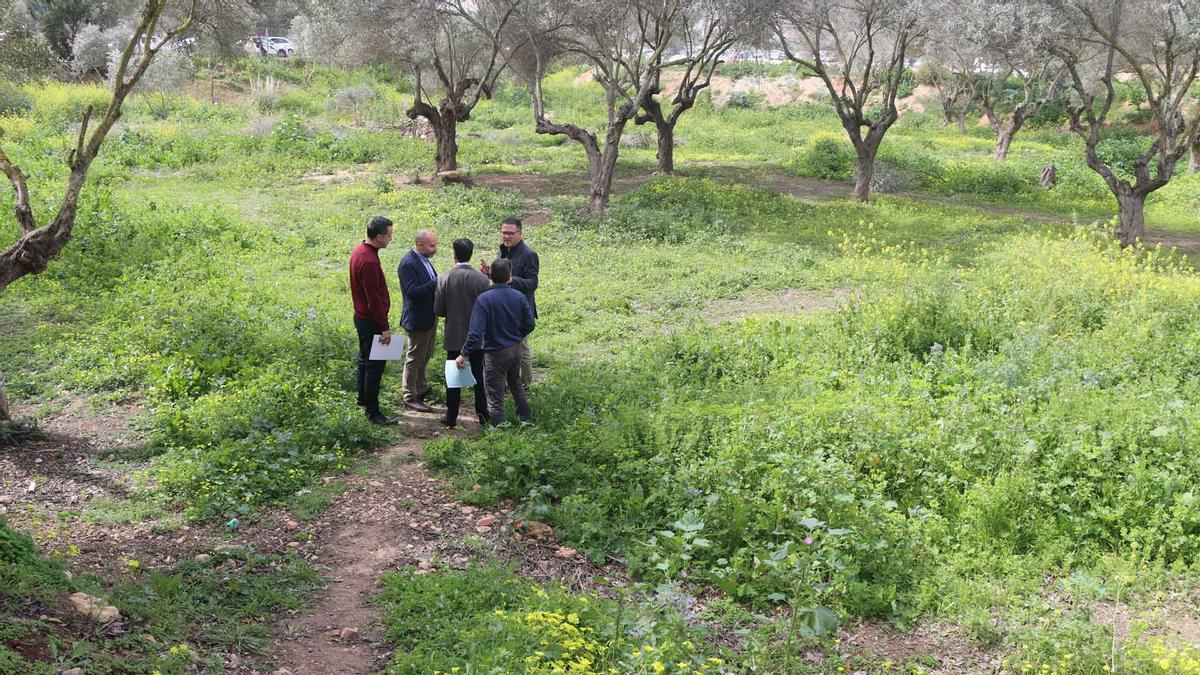 La parcela donde se ubicará el parque inundable del barranco Barceló de Benidorm.