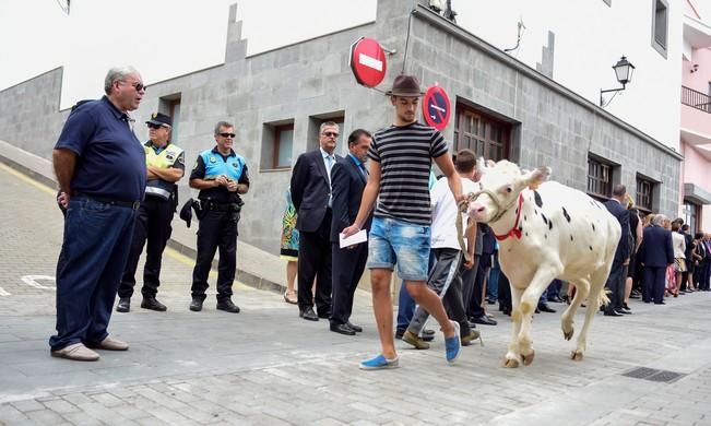 Fiestas de San ROQUE en Firgas