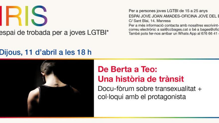 Cartell de la projecció del documental &quot;De Berta a Teo&quot;