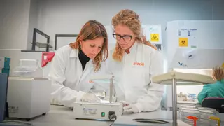 Agricultura hará 30.000 analíticas anuales en la Comunidad para combatir la xylella