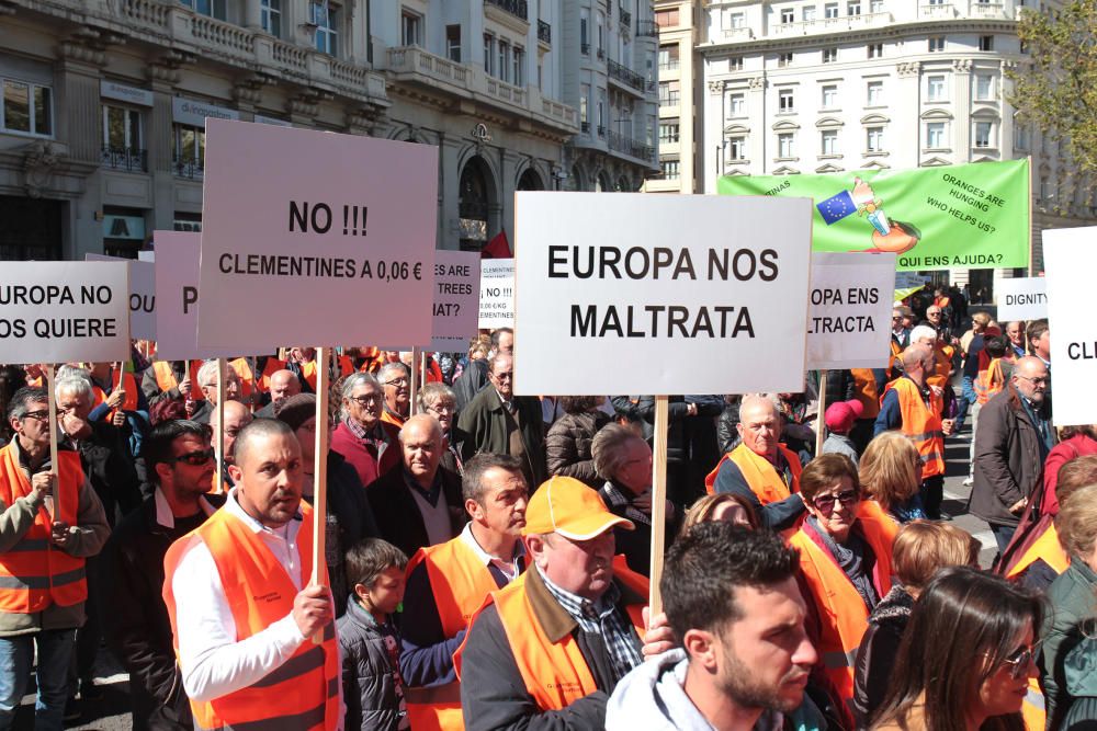 Manifestación en defensa del sector citrícola