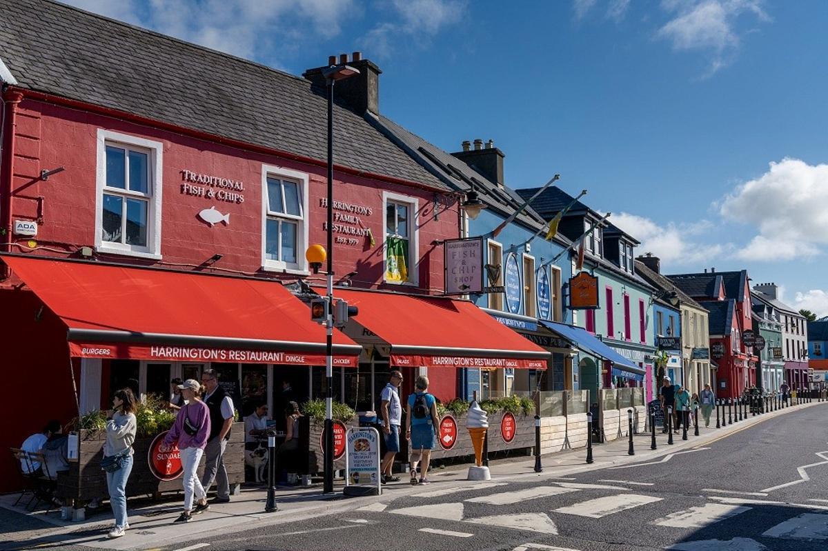 Dingle (Irlanda)