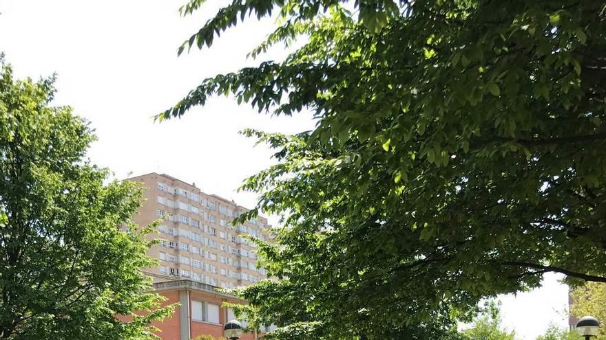 Dos personas pasean a sus perros por el parque de Laviada donde ocurrió el último caso de envenenamiento con Babosil.