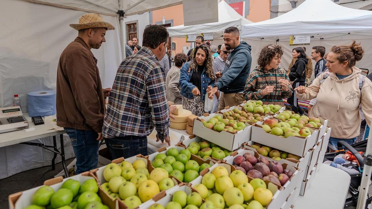 Feria Sabor y Tradición en Valleseco