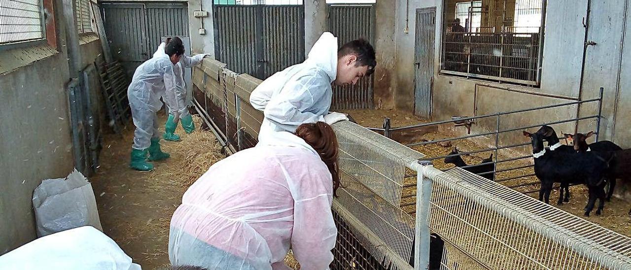 Alumnos del ciclo formativo en la granja de la EPSO con unas cabras.