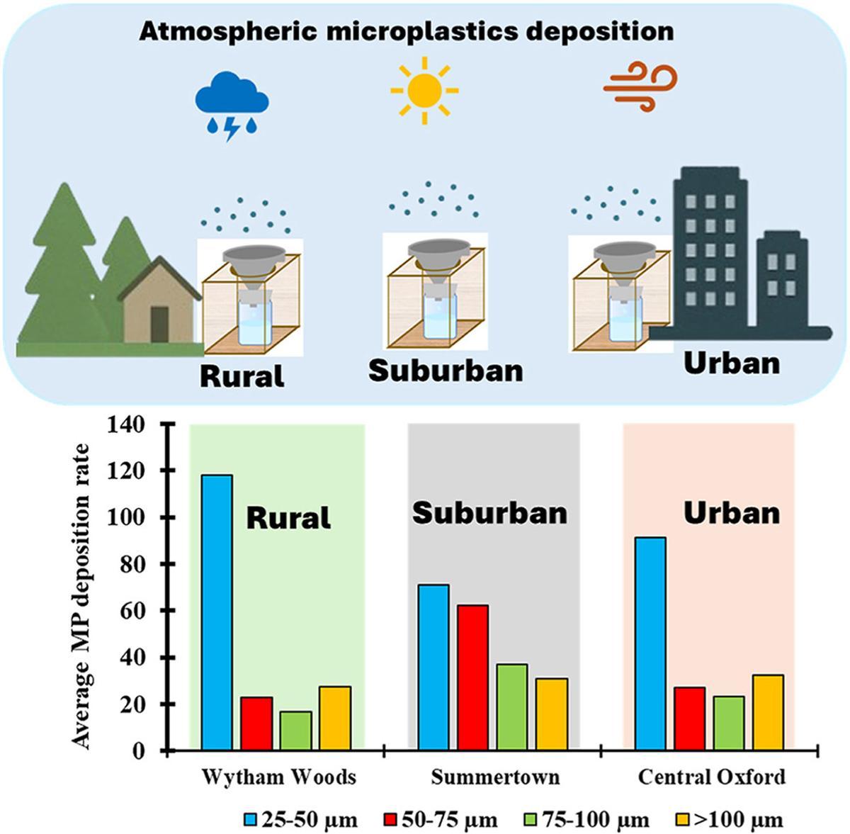 Abundancia de partículas plásticas según la zona