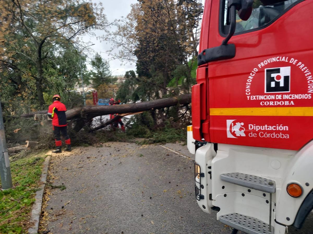 Intervención de los bomberos en Cabra.