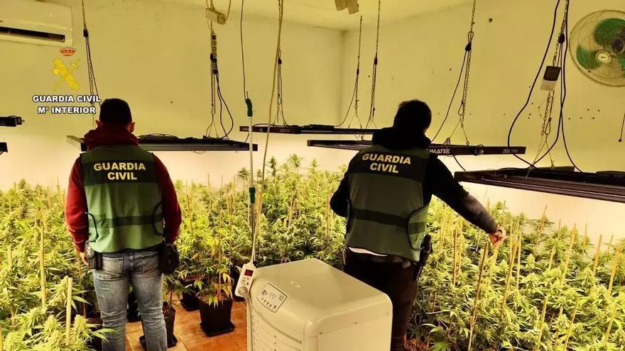 Vídeo | La Guardia Civil desmantela dos plantaciones de marihuana en la provincia de Cáceres