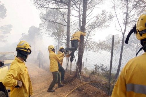 Incendi forestal a peu de les Gavarres