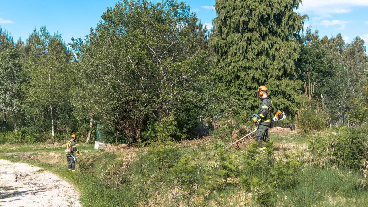 La nueva ley contra incendios permitirá entrar en las fincas de los vecinos para desbrozar la franja secundaria si el propietario no lo hace