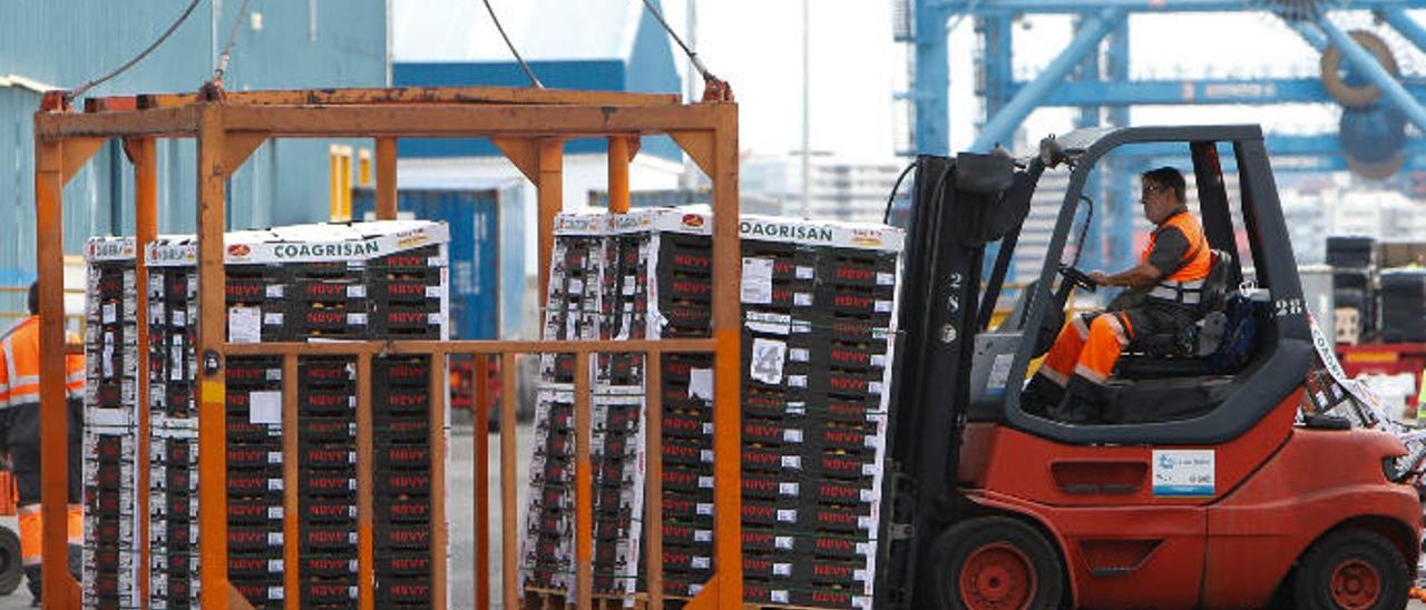 Trabajos de carga de tomate de exportación en el Puerto de La Luz y de Las Palmas.