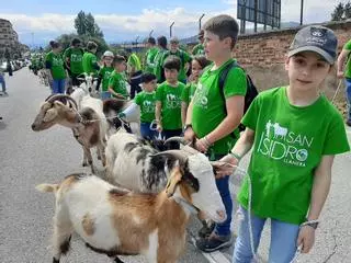En imágenes: el desfile de San Isidro en Llanera