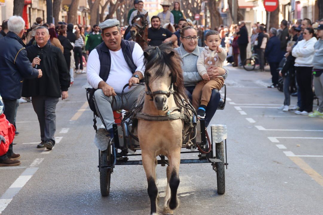 Bendición de animales en honor a Sant Antoni Abat en Torrent