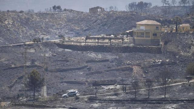 Terrenys calcinats per l’incendi forestal, el 10 de juliol de 2026, a Los Gallardos (Almeria).