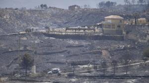 Terrenos calcinador por el incendio forestal, a 10 de julio de 2026, en Los Gallardos, Almería, Andalucía (España). El incendio forestal declarado este jueves, 9 de julio, en la localidad almeriense de Los Gallardos deja once fallecidos y ocho heridos, cuatro de ellos graves, según la última actualización que señala que siguen trabajando para analizar si puede haber más víctimas ya que por el momento hay 19 desaparecidos. Además, unos 200 efectivos de la Unidad Militar de Emergencias (UME) se han desplegado en torno al incendio forestal el cual presenta una evolución desfavorable. 10 JULIO 2026 Javi Carrión 10/07/2026. Javi Carrión