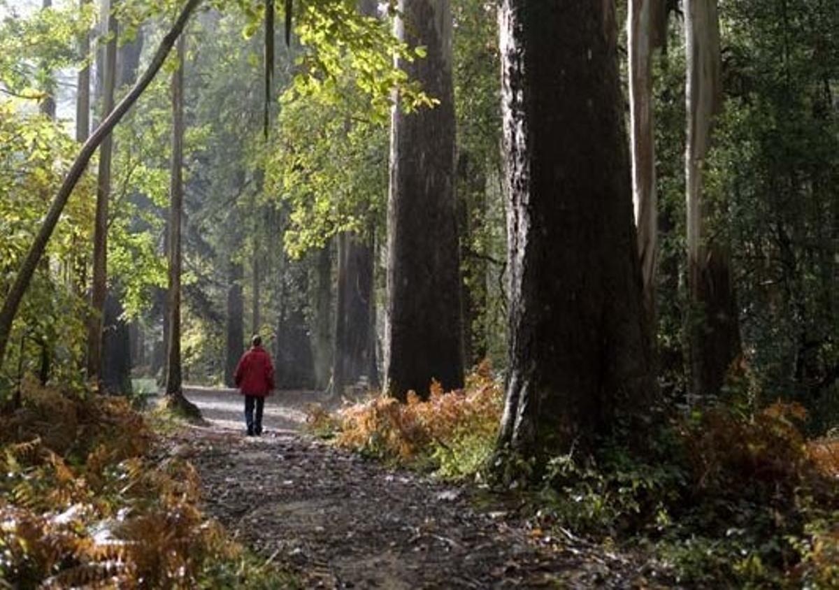 Este espacio está reconocido por National Geographic como una de las 'Siete maravillas naturales para descubrir España este septiembre»