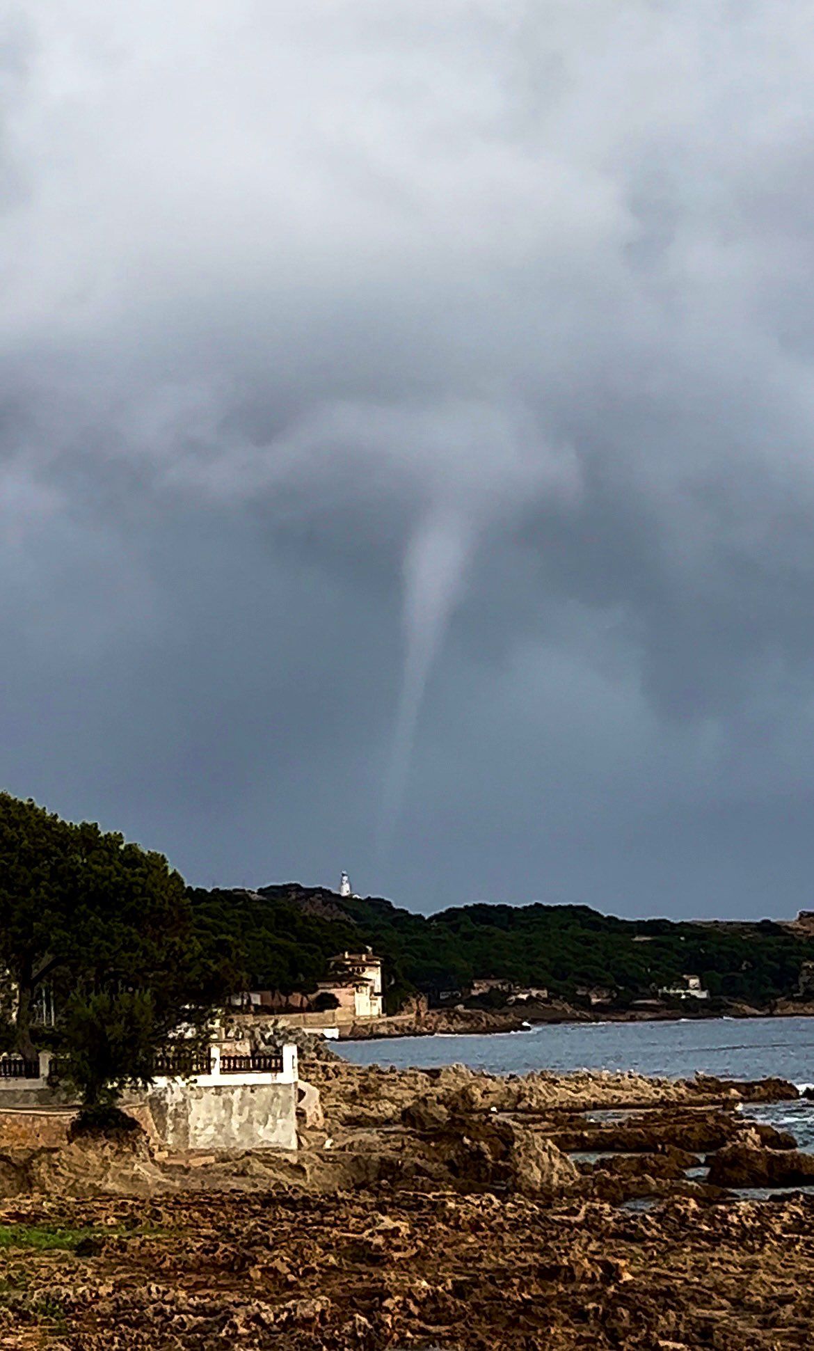 Manga marina en aguas de Cala Rajada