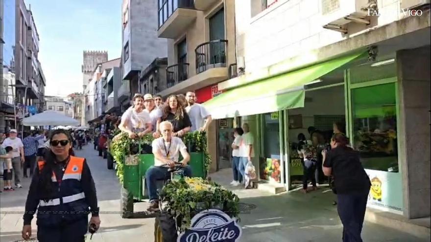 Desfile de chimpíns en Cans