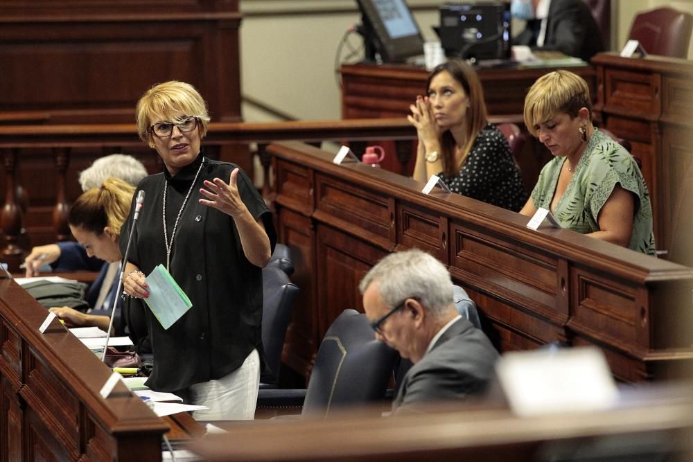 Pleno en el Parlamento de Canarias