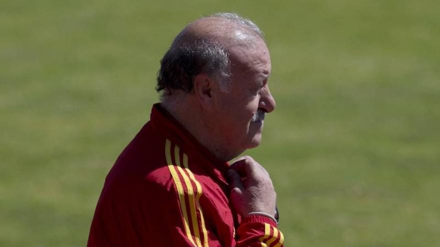 Del Bosque: &quot;En la Eurocopa veremos cómo será nuestro fútbol en el futuro&quot;