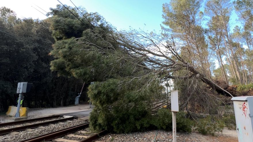 El Govern va dubtar de Renfe i va demanar a un alcalde comprovar si hi havia un tren abandonat a Sant Miquel de Fluvià