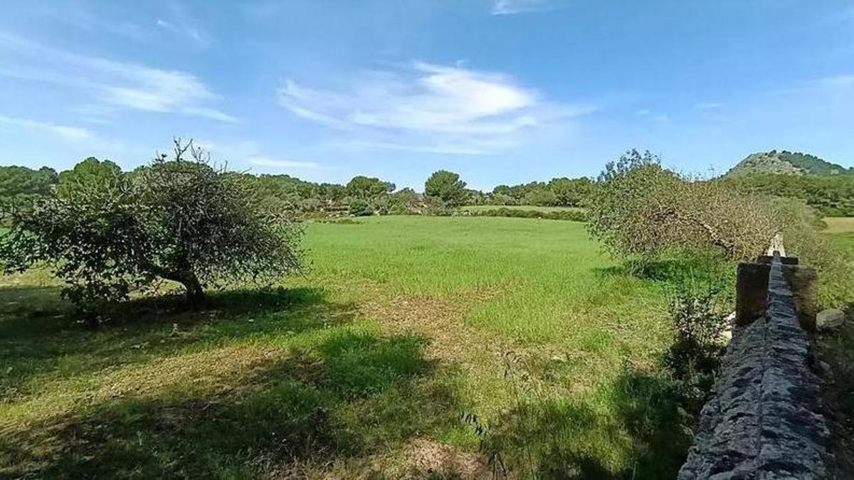 Kommt-der-neue-Parkplatz-an-der-Cala-Agulla-doch-noch-in-diesem-Sommer-