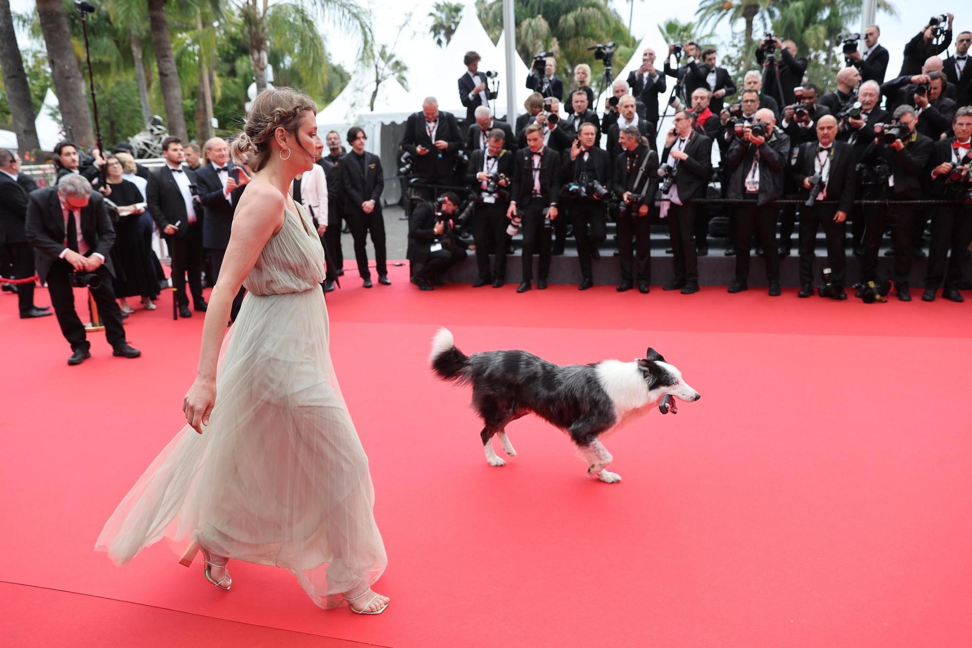 Las mejores fotos de la alfombra roja del Festival de Cannes 2024