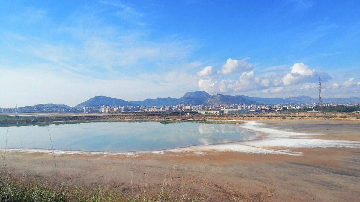 Balsas y terreno contaminado de la antigua Zinsa