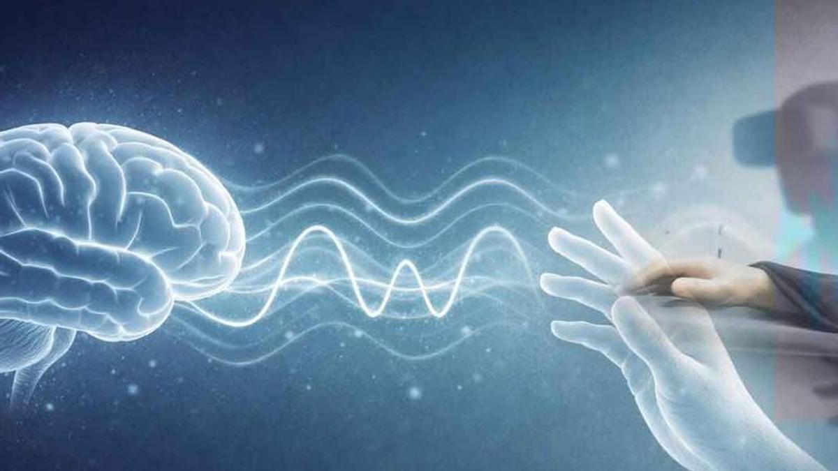Un estudio del Instituto Karolinska revela cómo las ondas alfa definen la percepción del cuerpo y el mundo externo Un estudio del Instituto Karolinska revela cómo las ondas alfa definen la percepción del cuerpo y el mundo externo