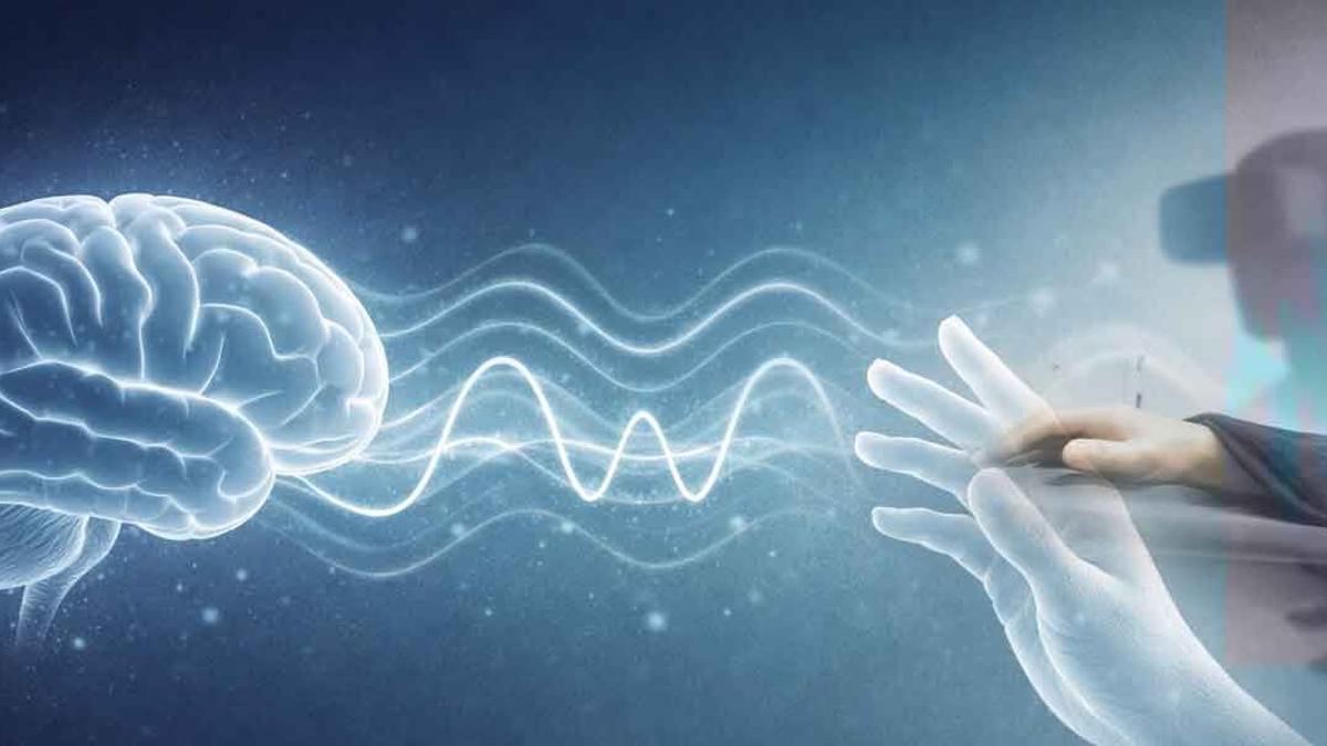 La actividad cerebral rítmica ayuda a distinguir nuestro propio cuerpo del mundo exterior.