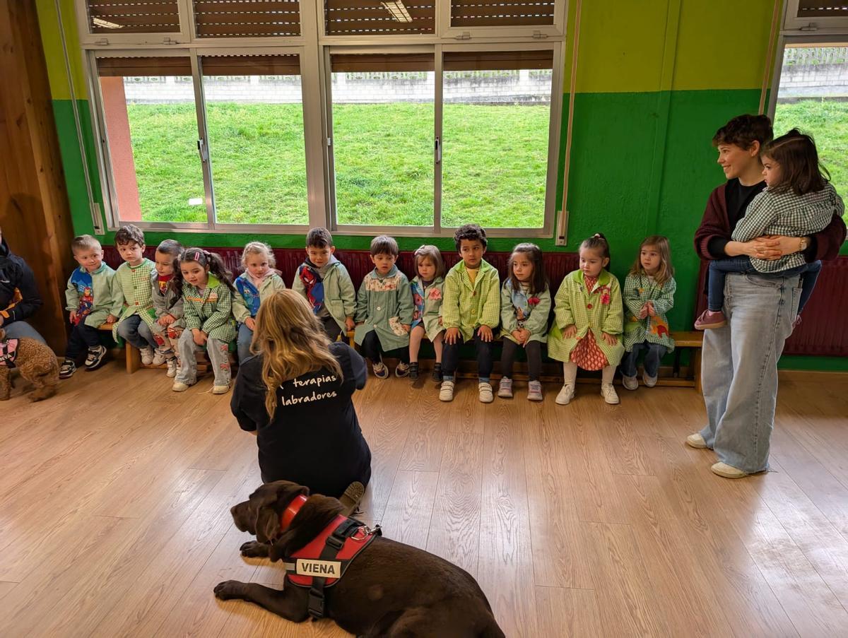 Los escolares de infantil de El Pascón reciben a varios perros de terapia.