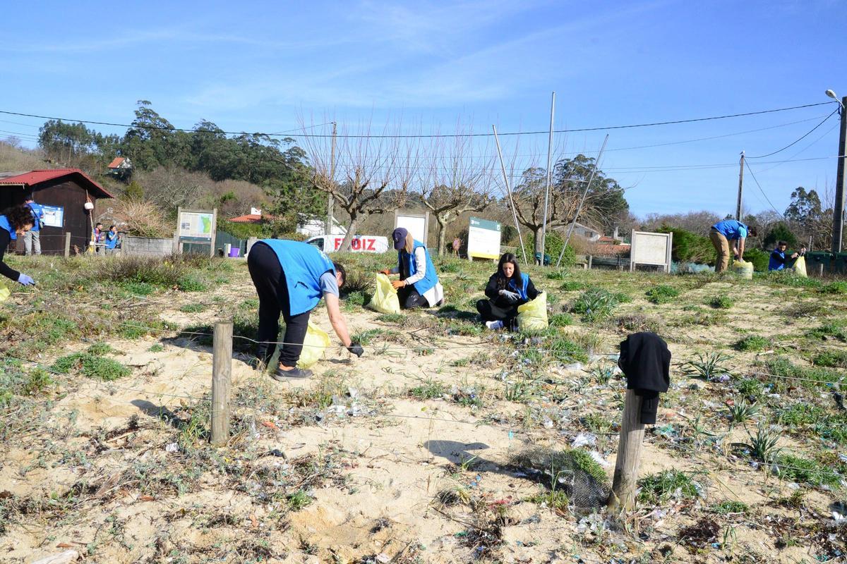 La limpieza de la playa de Area de Bon, en Bueu, en imágenes (I)