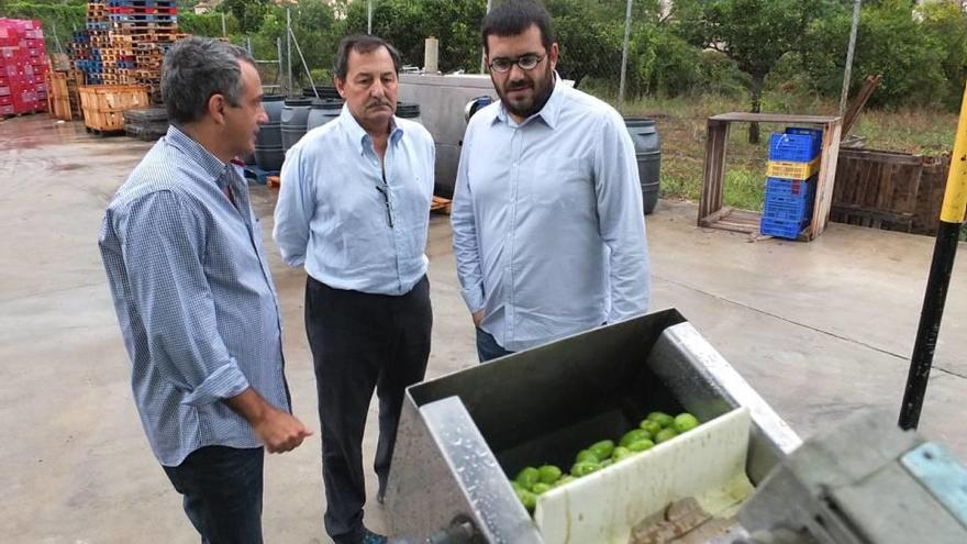 El conseller de Agricultura, Vicenç Vidal, durante una visita a una cooperativa agrícola de Sóller.