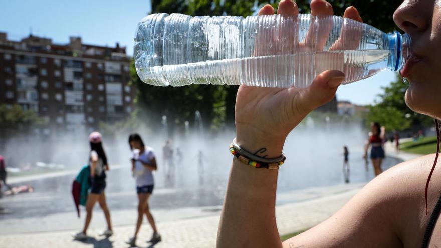 La bebida quemagrasa de moda para perder peso que debes tomar antes de las comidas copiosas